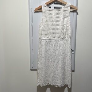 Anntaylor Loft Eyelet Dress Size 0